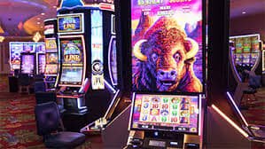 Mobile casino browser guide visual for d11 users in Bangladesh